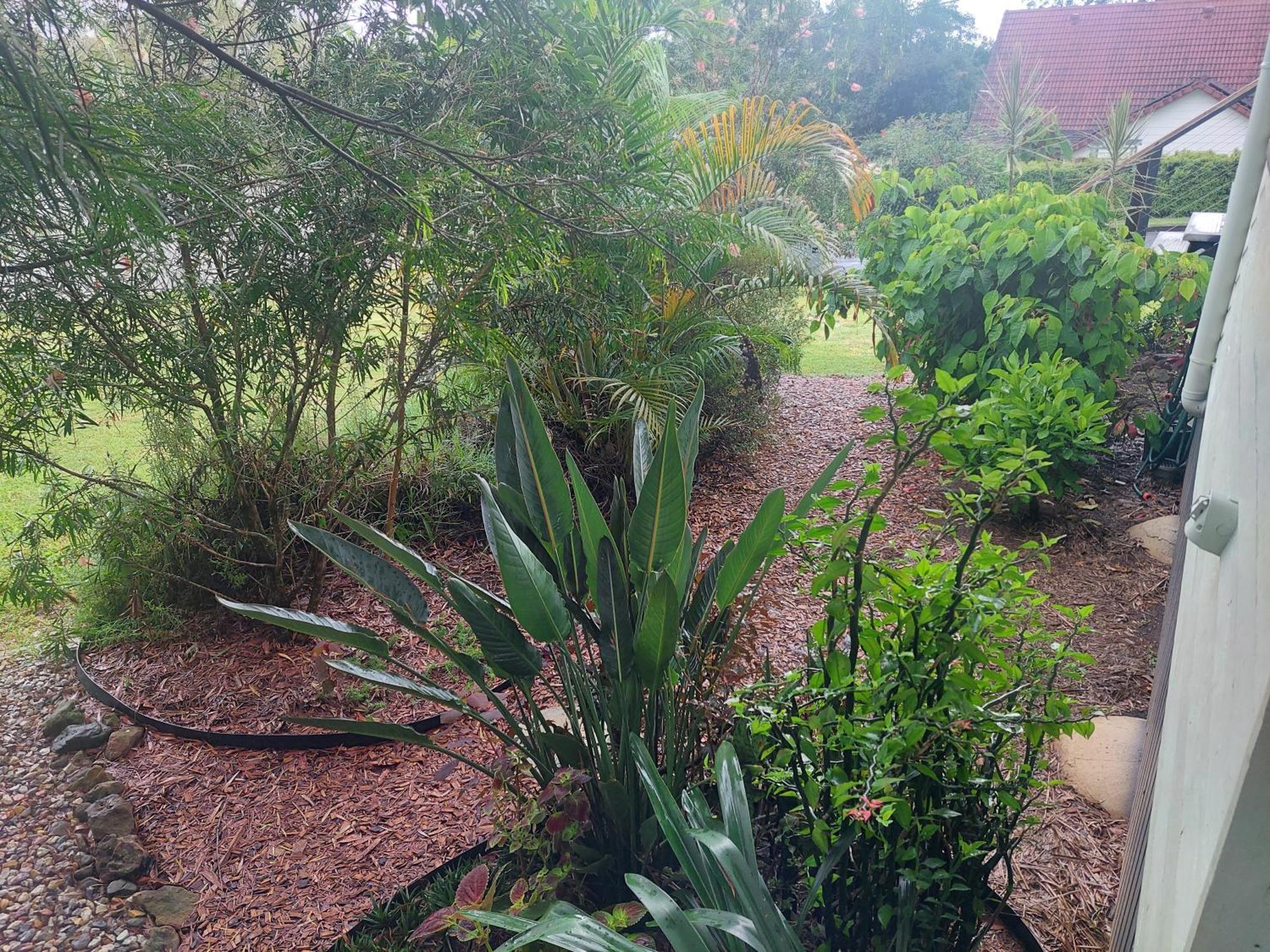 Kyogle Comfy Homestay 客房 照片